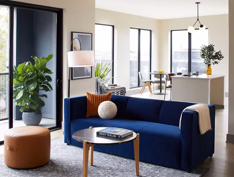 Designer Furnished Options